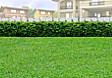 Lot for Sale in Capas, Tarlac